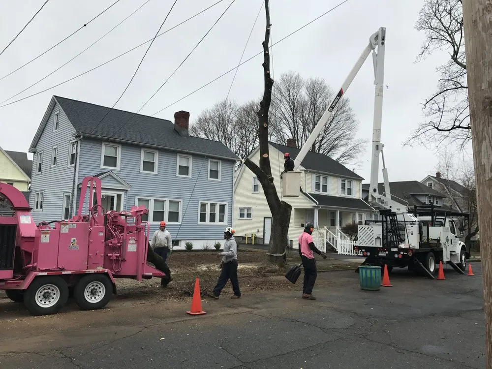 Reliable landscape design in Milford, CT by Northeast Horticultural Services