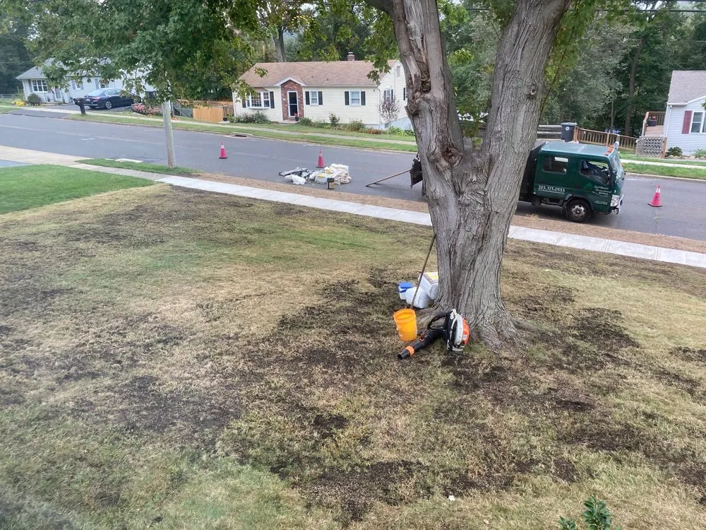 Trusted outdoor landscaping for residential properties across Milford, CT - Northeast Horticultural Services
