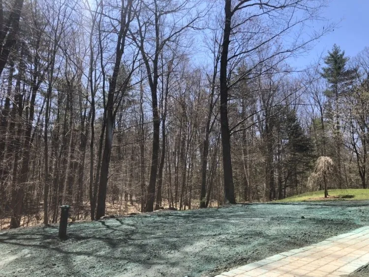 Affordable lawn care service experts serving Newington, NH - Northeast Hydroseed