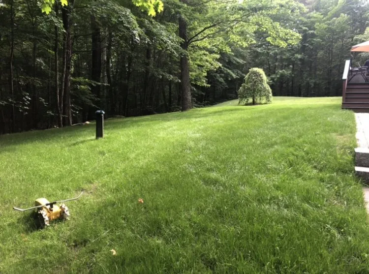 Professional outdoor landscaping near you across Newington, NH - Northeast Hydroseed