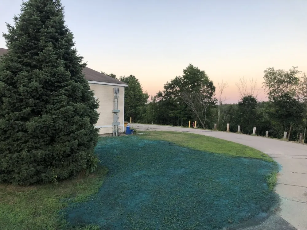 Professional residential landscaping experts serving Newington, NH - Northeast Hydroseed