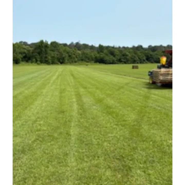 Top-rated landscape design in Bastrop, LA - Northeast LA Turf Farms