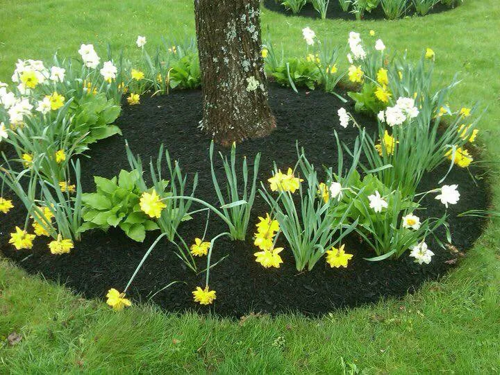 Expert yard maintenance with custom design in Standish, ME by Northeast Landscape & Irrigation