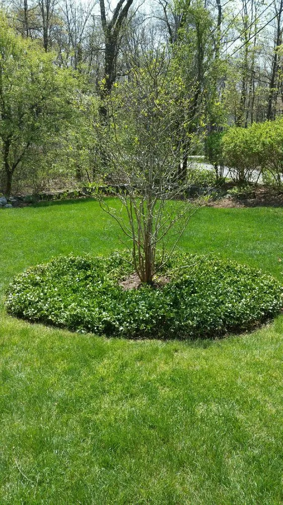 Top-rated lawn mowing service for residential properties in North Andover, MA by Northeast Landscape Contractors