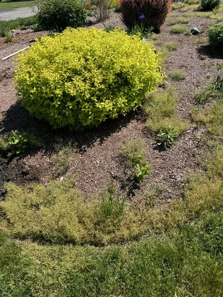 Custom garden landscaping experts serving Fall River, MA - NorthEast Landscaping