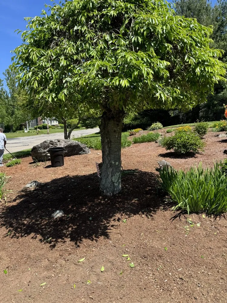 Top-rated landscaping services in Fall River, MA - NorthEast Landscaping