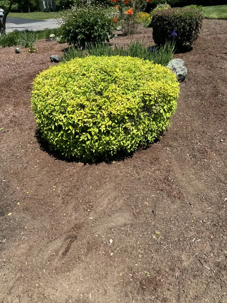 Professional garden landscaping experts serving Fall River, MA - NorthEast Landscaping