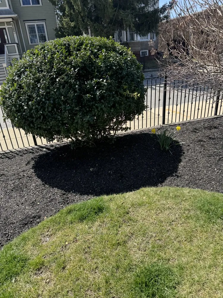 Top-rated yard maintenance in Fall River, MA - NorthEast Landscaping