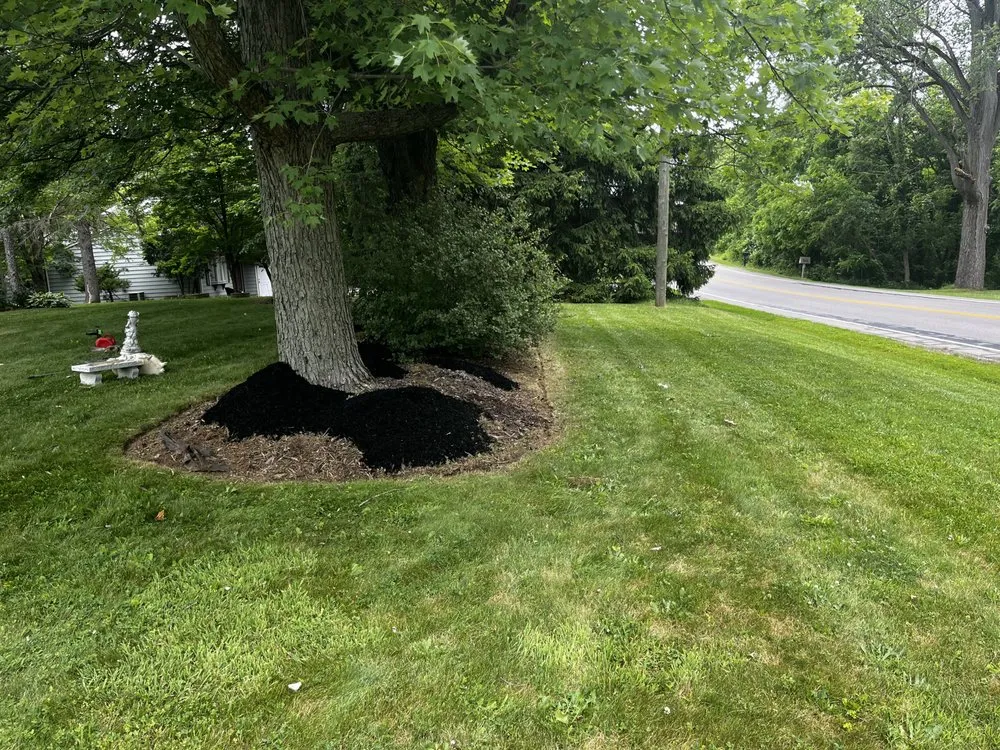 Professional outdoor landscaping in Lorain, OH by Northeast Landscaping Solutions