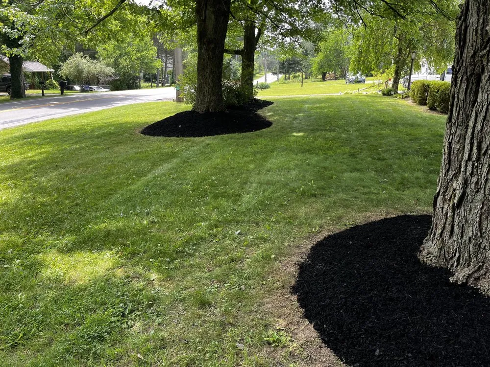 Affordable yard maintenance experts serving Lorain, OH - Northeast Landscaping Solutions