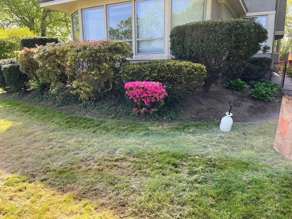 Affordable landscape installation for year-round maintenance in Lorain, OH by Northeast Landscaping Solutions