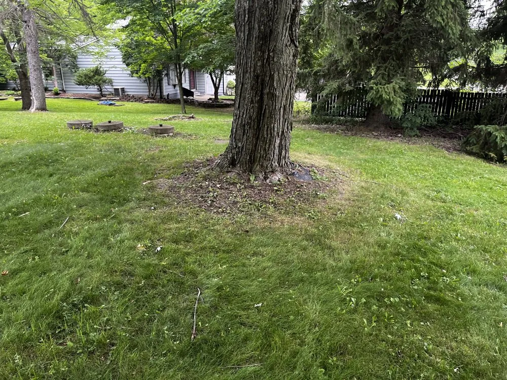 Expert yard cleanup service in Lorain, OH by Northeast Landscaping Solutions