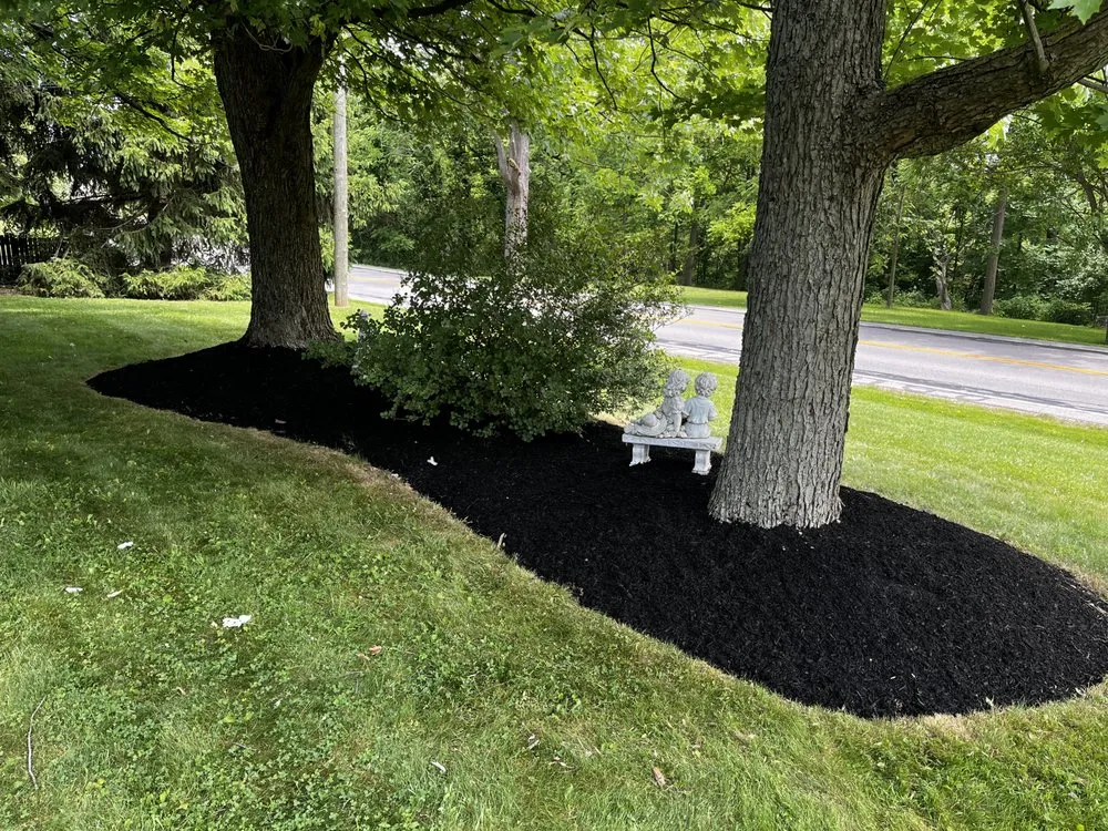 Custom landscaping services for beautiful yards in Lorain, OH by Northeast Landscaping Solutions