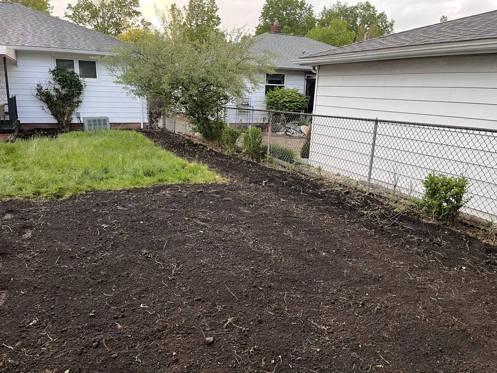 Expert yard cleanup service in Lorain, OH - Northeast Landscaping Solutions