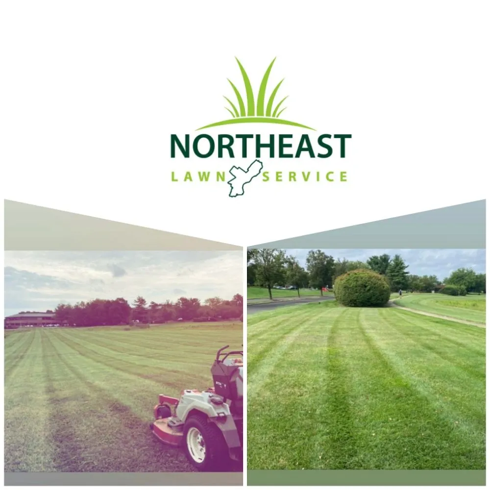 Expert landscaping services experts serving Bensalem, PA - Northeast Lawn Service & Junk Removal