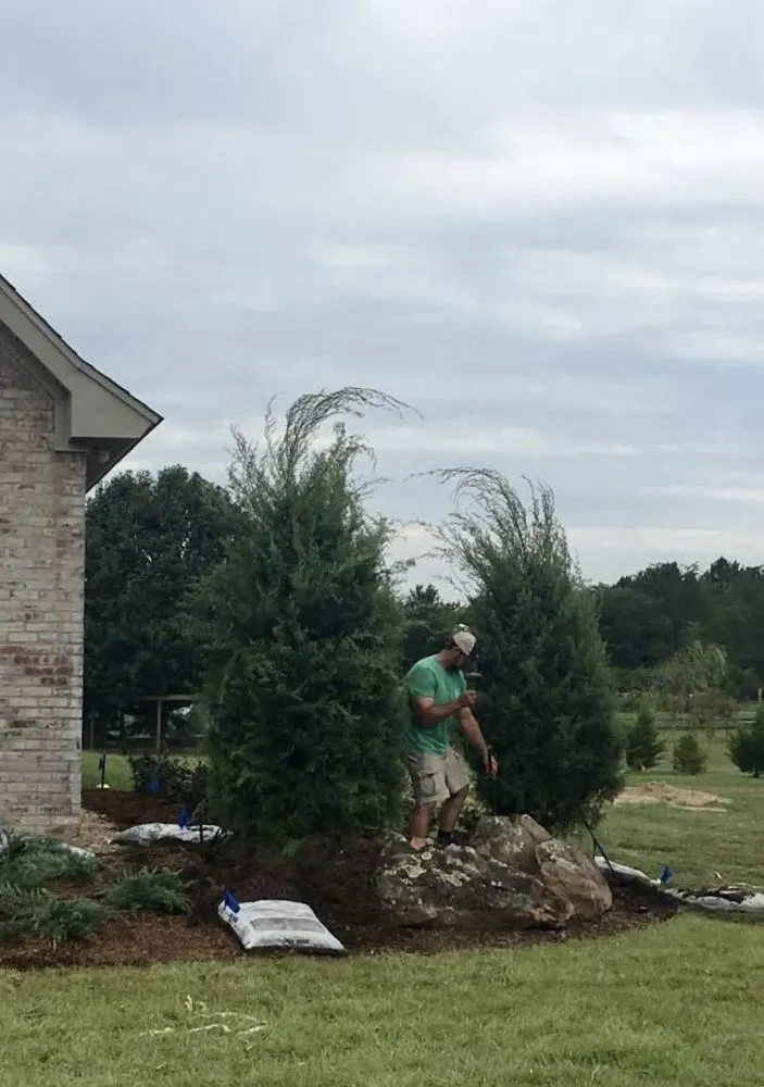 Affordable landscaping services in West Monroe, LA - Northeast Lawn Service