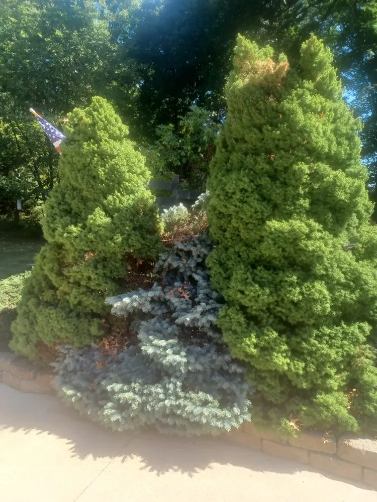 Expert landscaping services for year-round maintenance across Alliance, OH - Northeast Ohio Excavating