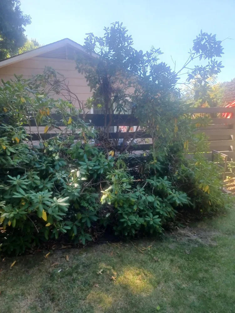 Professional lawn mowing service experts serving Alliance, OH - Northeast Ohio Excavating