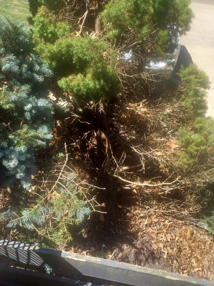 Custom residential landscaping for year-round maintenance in Alliance, OH by Northeast Ohio Excavating