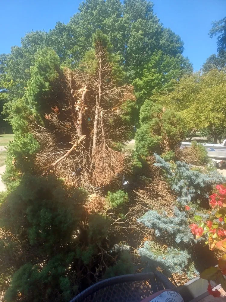 Expert lawn mowing service experts serving Alliance, OH - Northeast Ohio Excavating