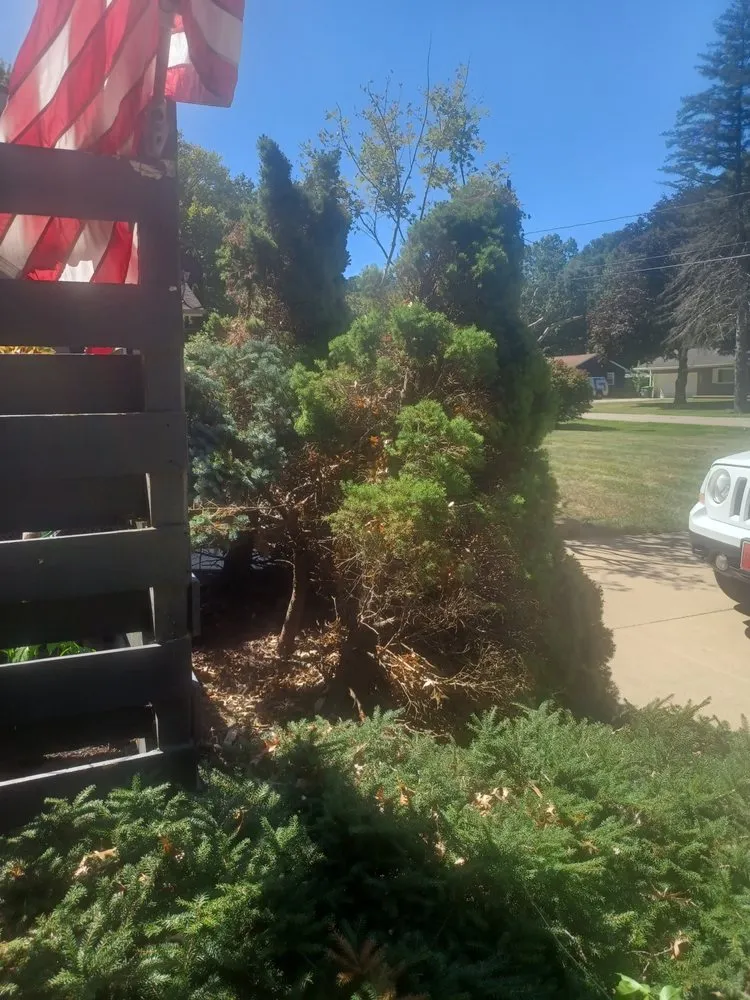 Professional lawn mowing service in Alliance, OH - Northeast Ohio Excavating