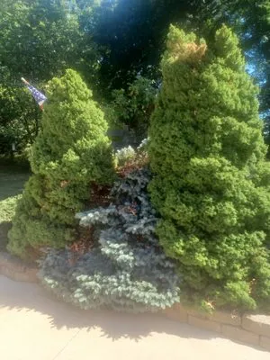 Northeast Ohio Excavating