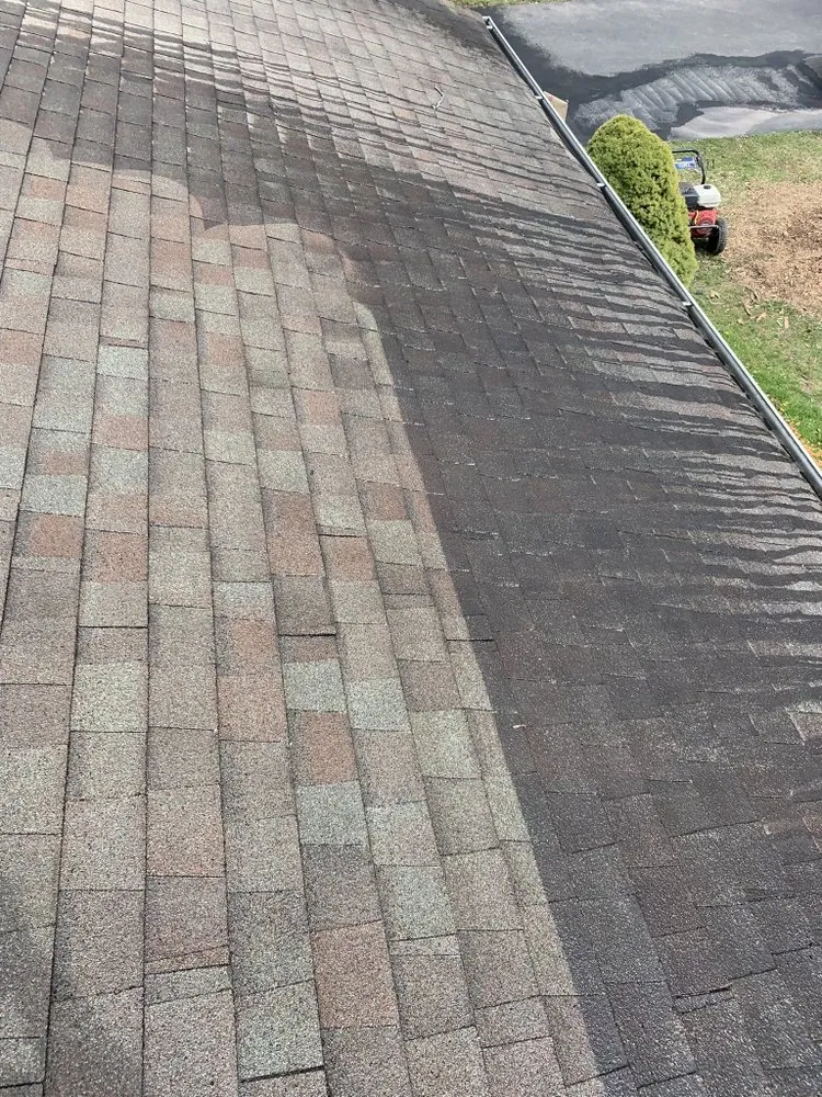 Professional outdoor landscaping with custom design in Philadelphia, PA by Northeast Philly Handyman