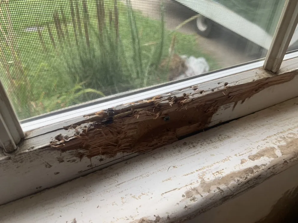 Top-rated lawn mowing service for residential properties across Philadelphia, PA - Northeast Philly Handyman