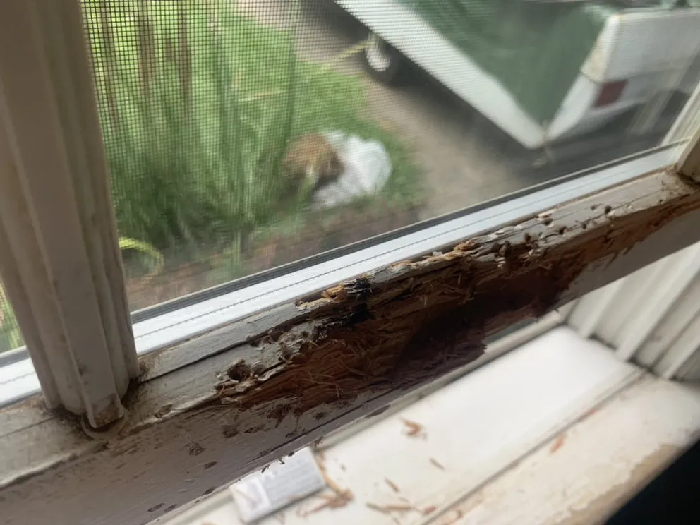 Reliable lawn care service for beautiful yards across Philadelphia, PA - Northeast Philly Handyman