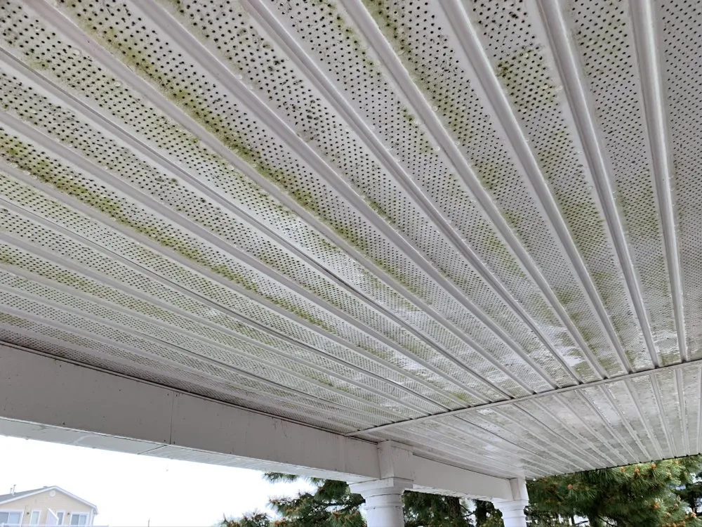 Local garden landscaping in Philadelphia, PA by Northeast Philly Handyman