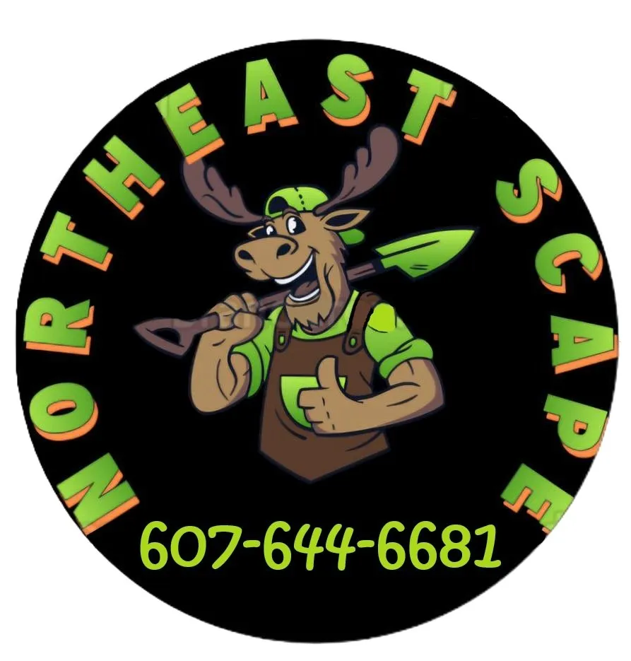 Reliable lawn care service for homes in Candor, NY by Northeast Scape