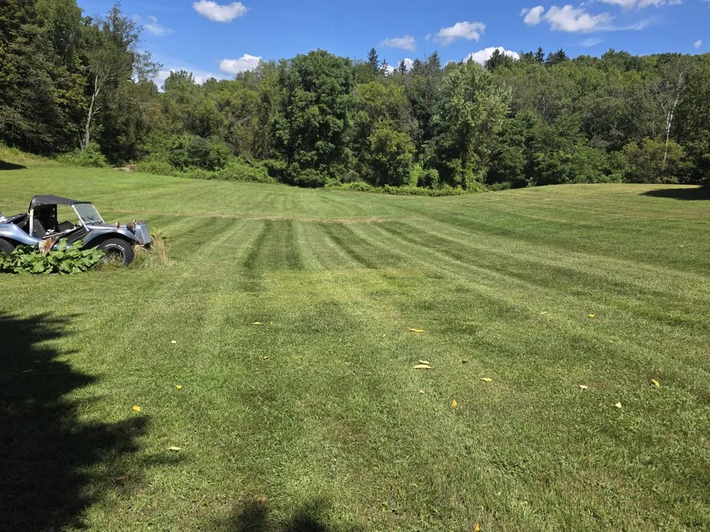 Top-rated yard maintenance for year-round maintenance across Candor, NY - Northeast Scape