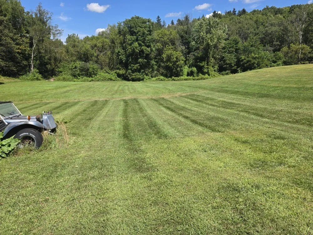 Affordable lawn care service in Candor, NY - Northeast Scape