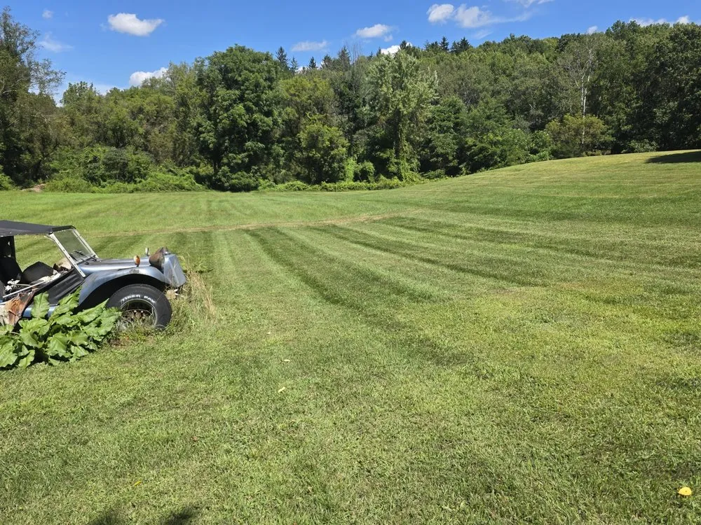 Expert landscape design in Candor, NY - Northeast Scape