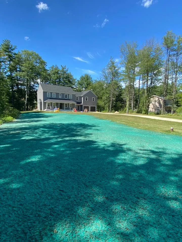 Top-rated landscape design in York, ME - Northeast Services