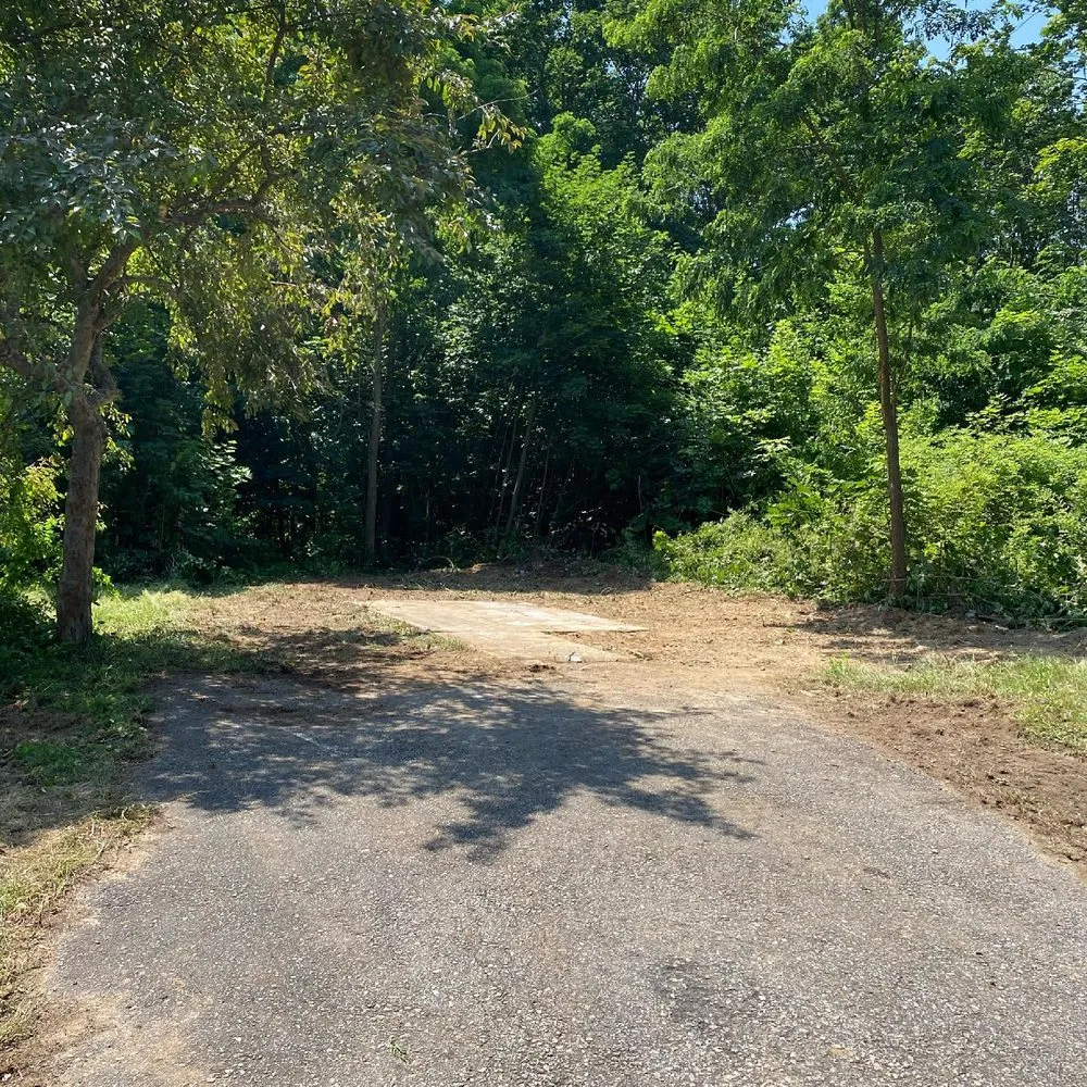 Expert yard cleanup service for homes across York, ME - Northeast Services