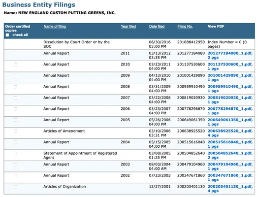 Northeast Synthetic Turf Company