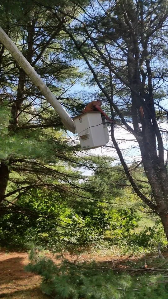 Top-rated outdoor landscaping for outdoor upgrades in Concord, NH by Northeast Topnotch Landworks