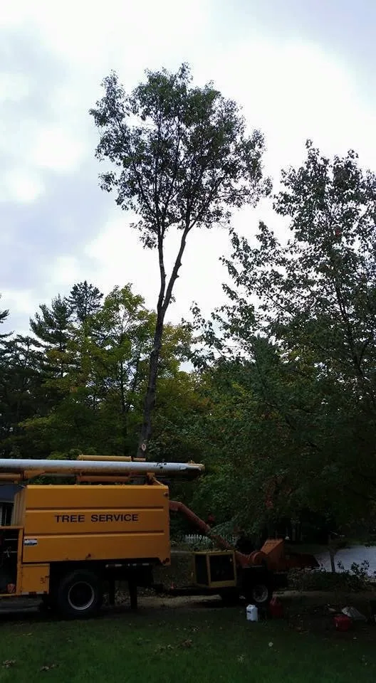 Trusted yard cleanup service in Concord, NH by Northeast Topnotch Landworks