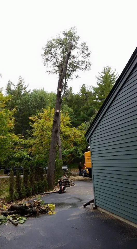 Trusted lawn mowing service experts serving Concord, NH - Northeast Topnotch Landworks