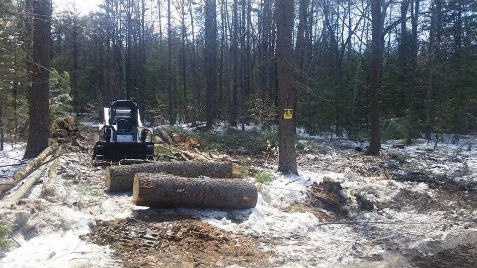 Custom outdoor landscaping for beautiful yards across Concord, NH - Northeast Topnotch Landworks