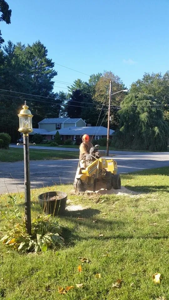 Expert landscape design experts serving Concord, NH - Northeast Topnotch Landworks