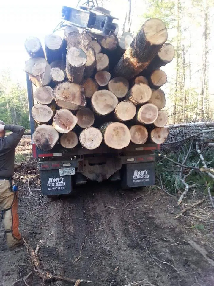 Top-rated lawn mowing service experts serving Concord, NH - Northeast Topnotch Landworks