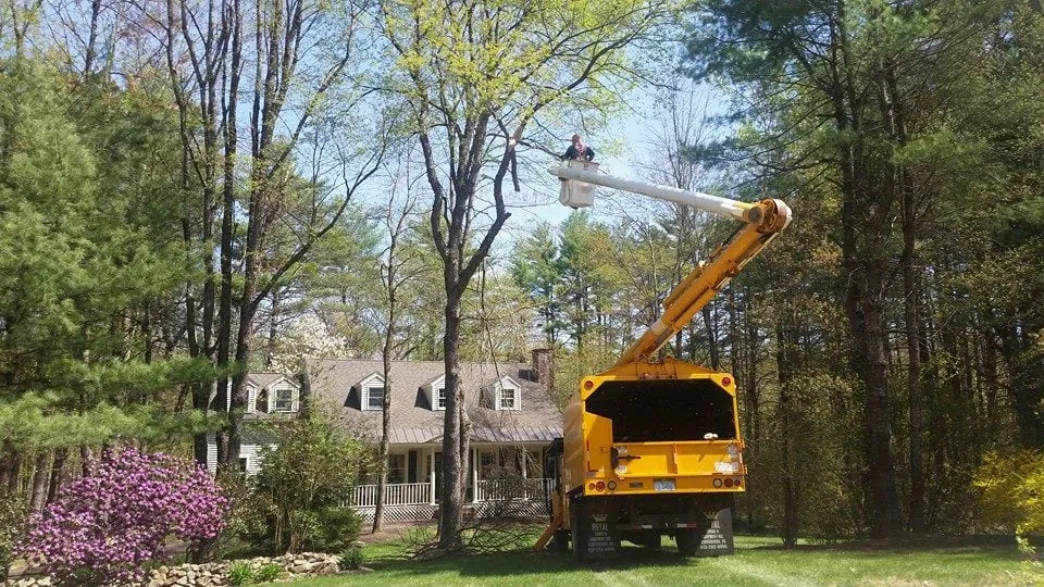 Professional residential landscaping experts serving Concord, NH - Northeast Topnotch Landworks