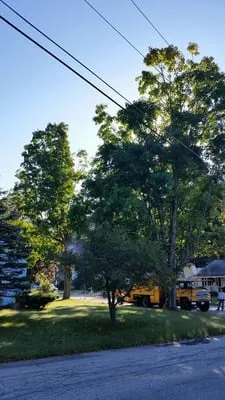 Northeast Topnotch Landworks