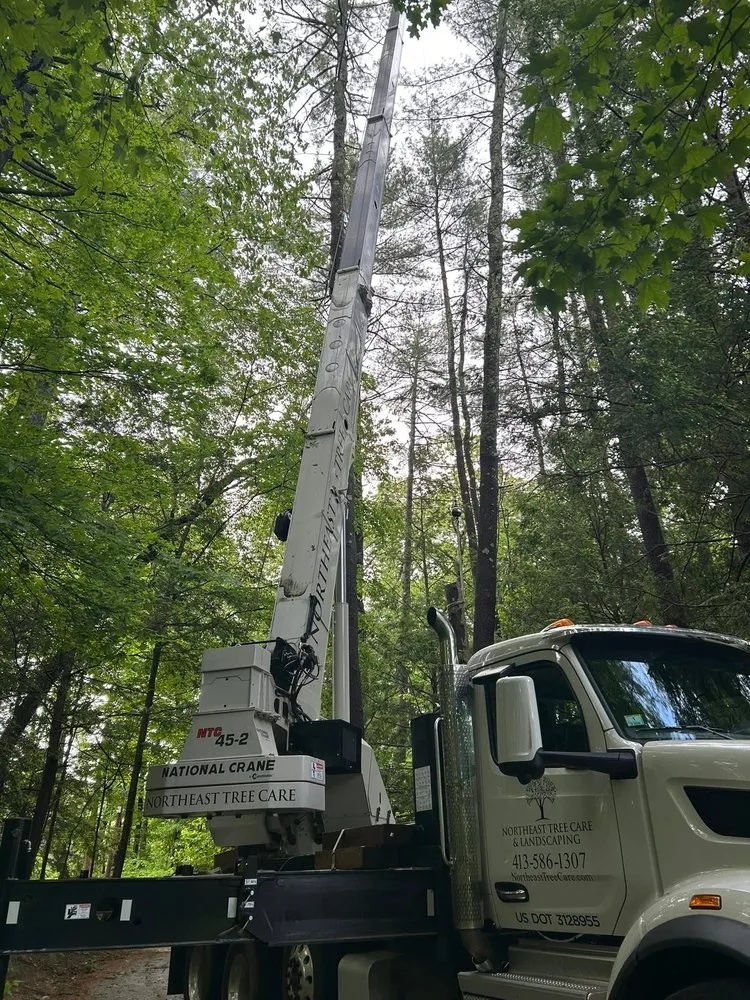Trusted landscape installation for beautiful yards in Deerfield, MA by Northeast Tree Care & Landscaping