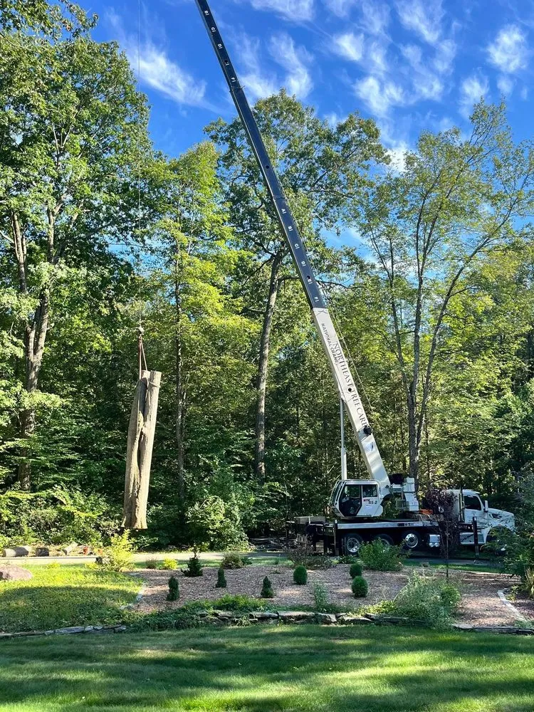 Affordable lawn care service in Deerfield, MA by Northeast Tree Care & Landscaping