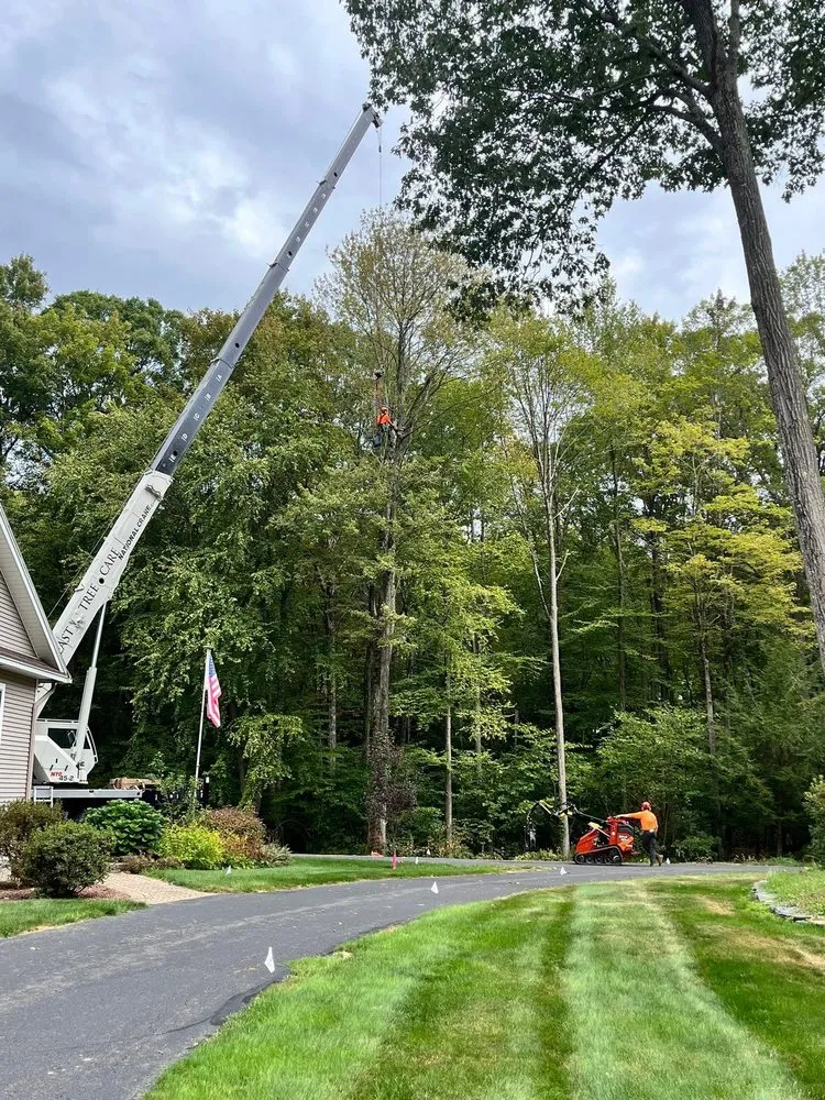 Affordable landscape installation in Deerfield, MA by Northeast Tree Care & Landscaping