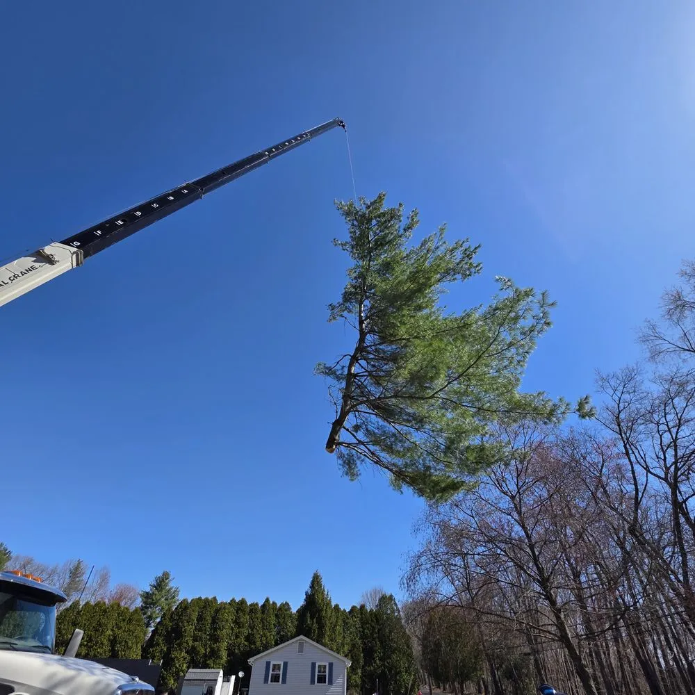 Affordable outdoor landscaping in Deerfield, MA - Northeast Tree Care & Landscaping