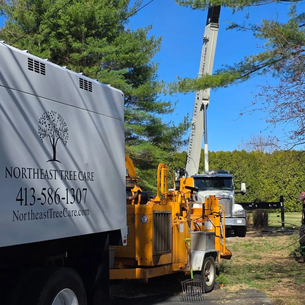 Professional landscape design experts serving Deerfield, MA - Northeast Tree Care & Landscaping